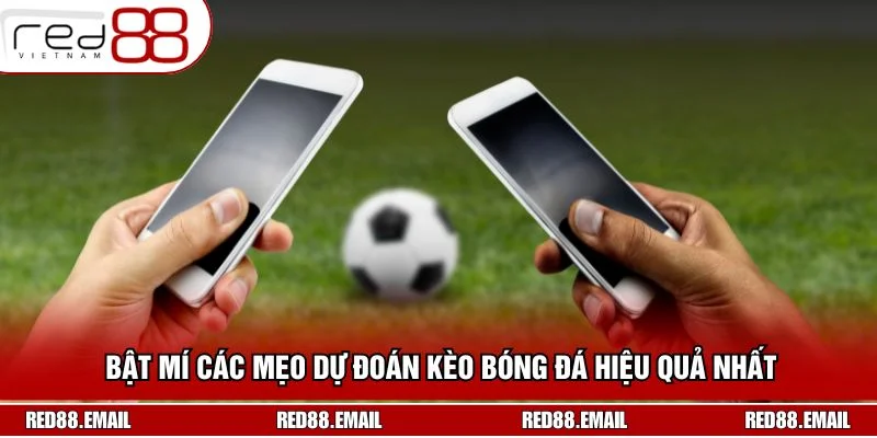 Bật mí các mẹo dự đoán kèo bóng đá hiệu quả nhất