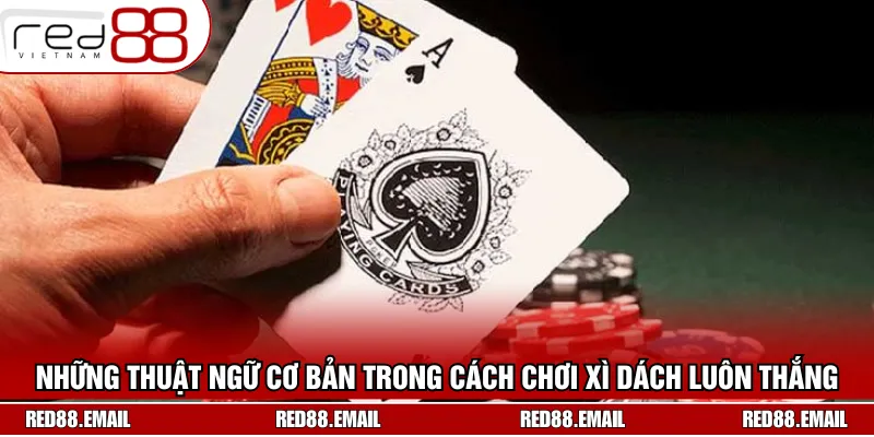 Những thuật ngữ cơ bản trong cách chơi xì dách luôn thắng