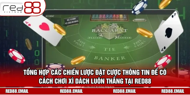 Tổng hợp các chiến lược đặt cược thông tin để có cách chơi xì dách luôn thắng tại RED88